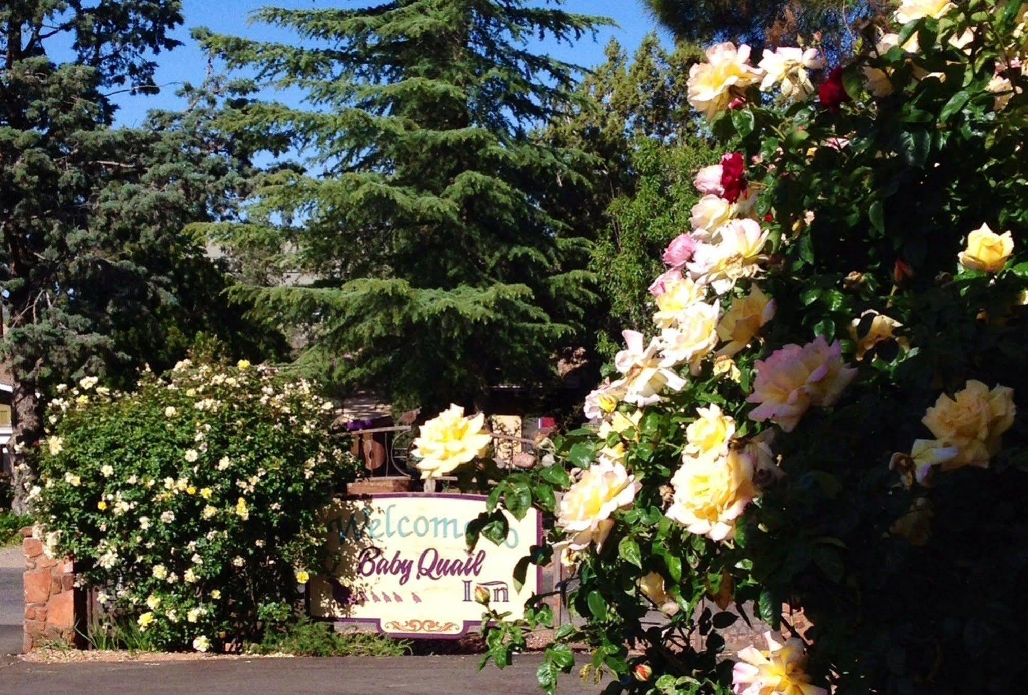Baby Quail Inn Sedona Exterior foto